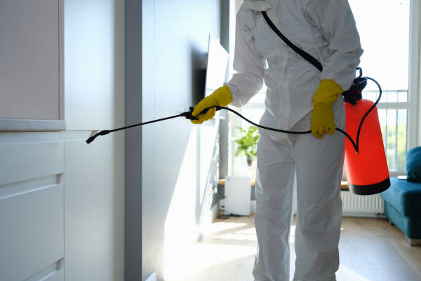 Best Fast Mold Removal  in Villa Rica, GA