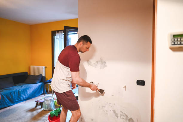 Best Mold Remediation  in Villa Rica, GA